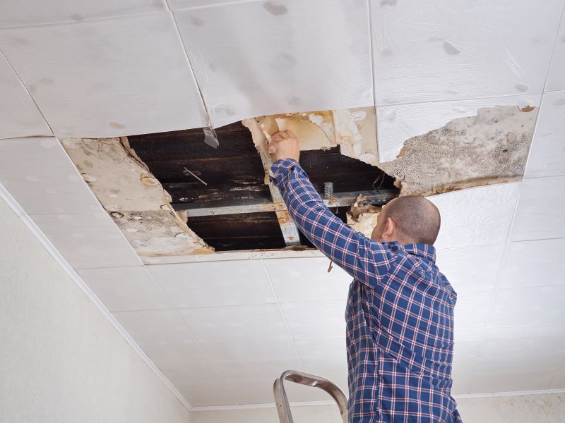 Lanai Ceiling Repair