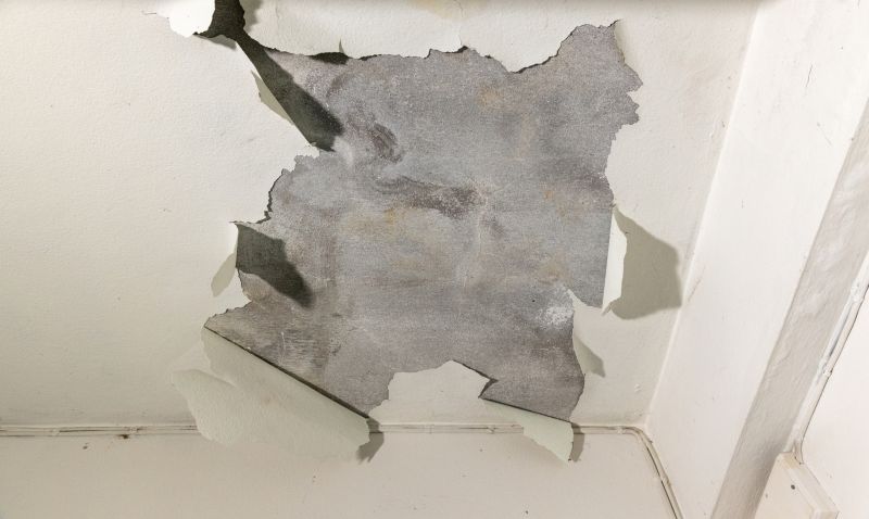 Damaged Ceiling Panels