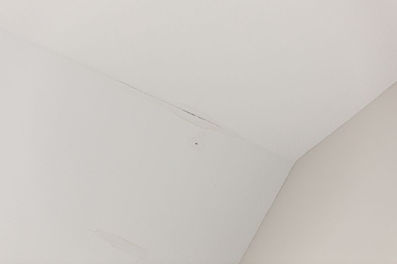 Specialty Ceiling Repair Experts